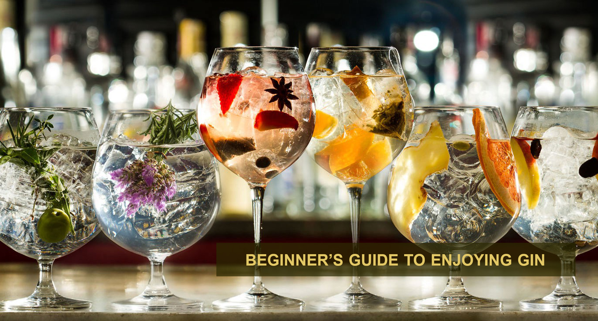 Beginner’s Guide to Enjoying Gin