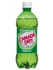 Canada Dry Ginger Ale 20 Fl Oz 20Oz