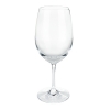 Shatterproof Plastic Wine Glass by True