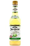 Jose Cuervo - Light Margarita Classic Lime (1.75L)