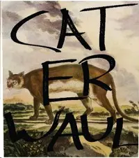 Caterwaul Cabernet Sauvignon Cemetery Vineyard 750ml