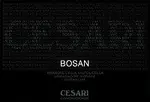 Cesari Amarone Della Valpolicella Bosan 750ml