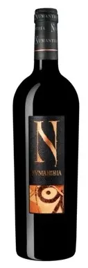 Bodega Numanthia Toro Numanthia 750ml