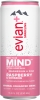 Evian Water Sparkling Raspberry & Ginseng Flavor 11oz