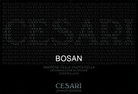 Cesari Amarone Della Valpolicella Bosan 750ml