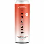 Quatreau Passion Fruit Guava CBD Sparkling Water 12oz Can