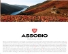 Assobio Tinto 750ml