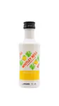 Whitley Neill - Mango & Lime Gin Miniature 5CL