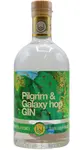 Pocketful of Stones - Pilgrim & Galaxy Hop Gin