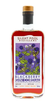 Silent Pool - Blackberry Gin Cordial Spirit