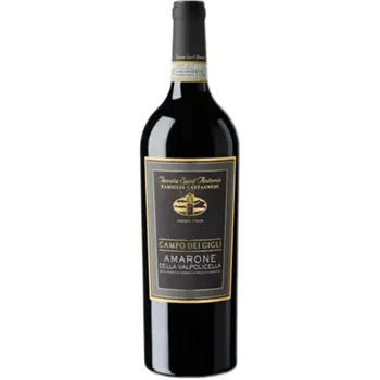 Tenuta Sant Antonio Campo Del Gigli Amarone Veneto Italy 750ml