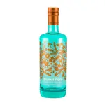 Silent Pool Gin Intricately Realised England 750ml
