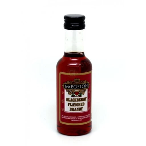 Mr. Boston Blackberry Brandy 600ml