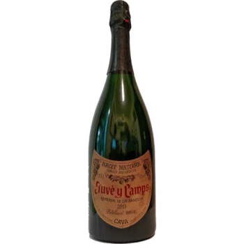 Juve Y Camps Brut Nature Cava Gran Reserva Magnum (Organic) 1.5L