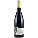 Domaine Jeanne Gaillard Syrah Terres De Mandrin 750ml
