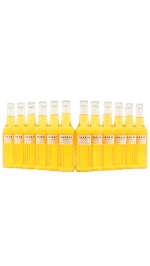 NOAM - Premium Lager 340ml x 12 5.2% ABV (12 x 340ml)