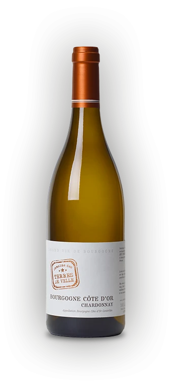 Domaine des Terres de Velle Bourgogne Cote d'Or Chardonnay - 2022 (750ml)