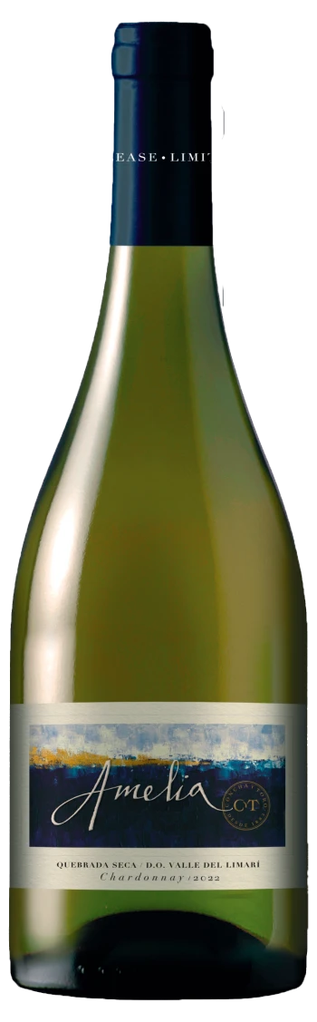 Concha y Toro Amelia Pinot Noir - 2021 (750ml)