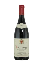 Alain Hudelot-NoÃ«llat Bourgogne - 2010 (750ml)