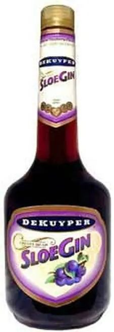 Dekuyper Sloe Gin US 1L