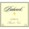 Babcock Radical Santa Rita Hills Pinot Noir 2012 Rated 94WE CELLAR SELECTION
