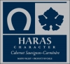 Haras Character Cabernet-Carmenere 2008 (Chile)