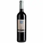 Vall Llach Embruix de Vall Llach DOQ Priorat 2017 (Spain) Rated 91WS