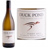 Duck Pond Willamette Pinot Gris Oregon 2017