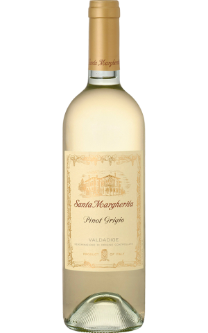 Santa Margherita Pinot Grigio Valdadige Italy 2020