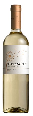 Terranoble Sauvignon Blanc 750ml