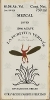 Pierde Almas Mezcal La Puritita Verda 750ml